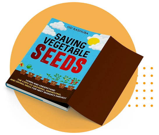 Book Cover Design Agency